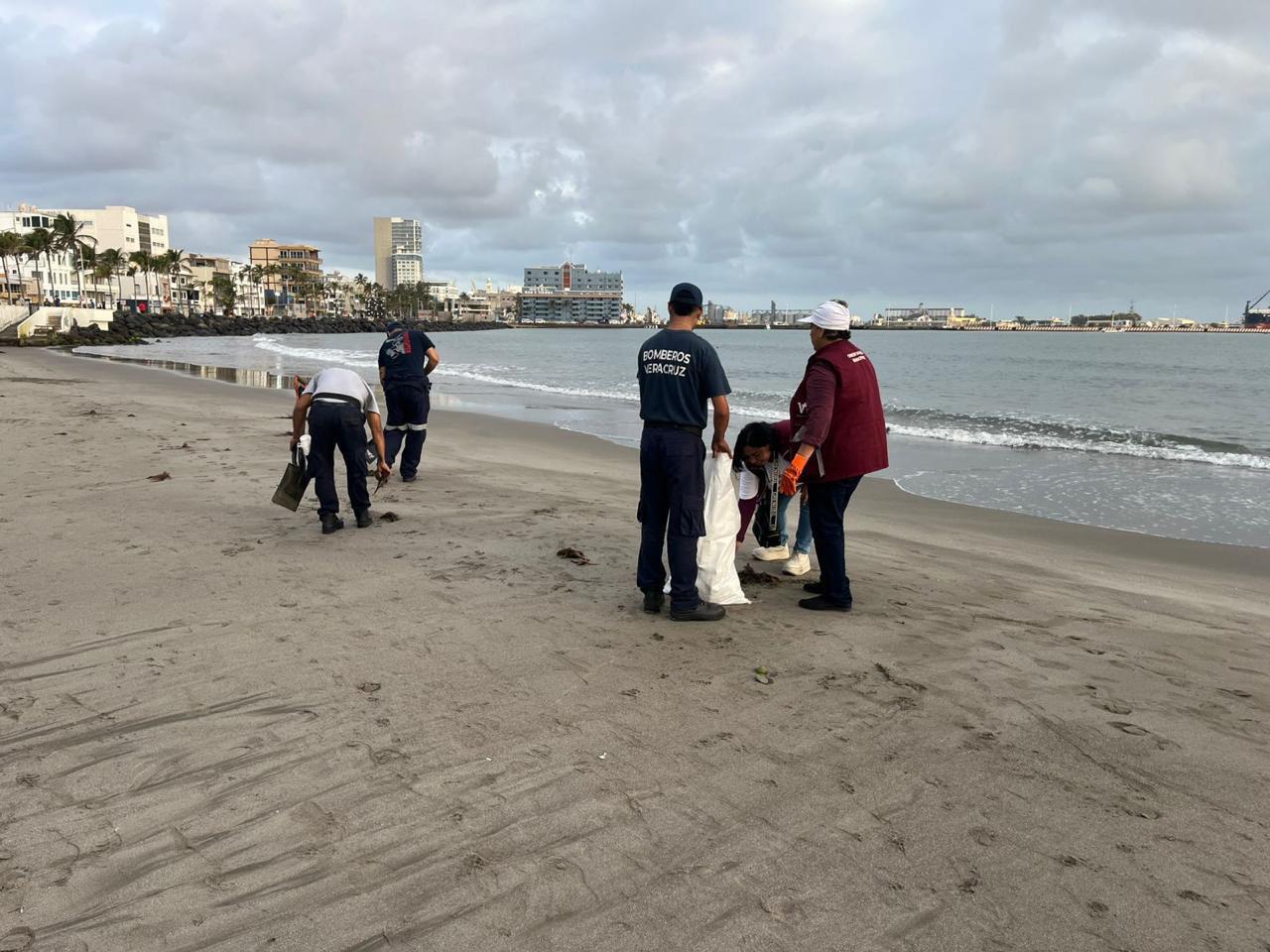 Gobierno de México coordina acciones para atender presencia de hidrocarburo en playas del Golfo de México